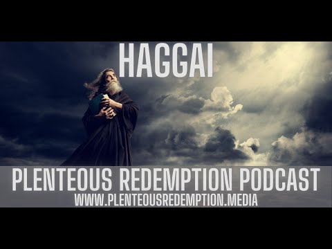 The Book Of Haggai | Haggai 1:12-15 - Fear The Lord