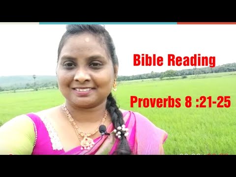15.08.2020 Bible Reading, Proverbs 8:21-25