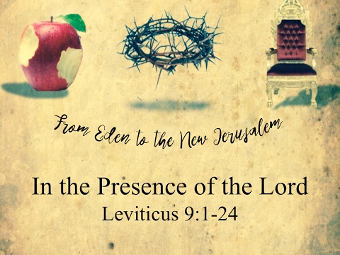 Michael York - "In the Presence of the Lord: Leviticus 9:1-24" - February 12, 2017