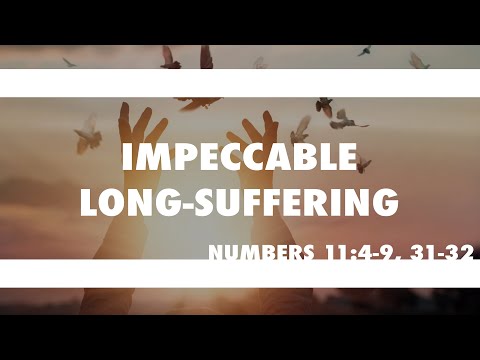 IMPECCABLE LONG-SUFFERING: The Israelites question God- Numbers 11:4-9, 31-32 // 6/7/2020