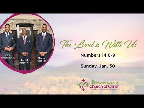 The Lord is with Us (Numbers 14:6-9)