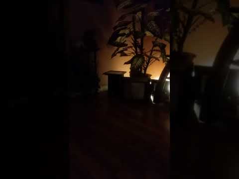 Proverbs 20:24 ???????? Man's going are of the Lord;...???????? pt 4