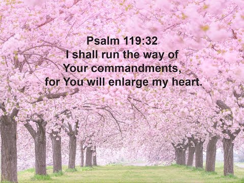 Psalm 119:32 (Promise)