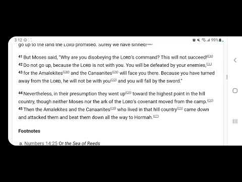 Numbers 14:26-45