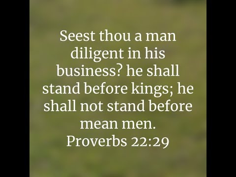 Proverbs 22:29