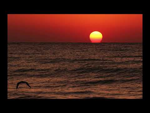 Coffee Break (5 Minutes with God) Psalm 82:1-5