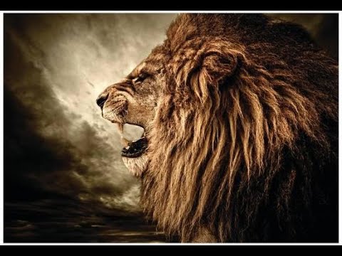 Devotional Thought: Thanksgiving? 1 Peter 5:8-9, Matthew 10:28, Revelation 5:5, John 10:27-28