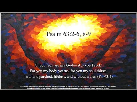 12th Sunday OT – C - Psalm 63:2–6, 8–9 – My soul is thirsting for you, O Lord my God.