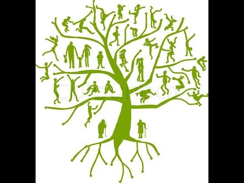 “In The Beginning: Adam to Noah” Genesis 5:1-32