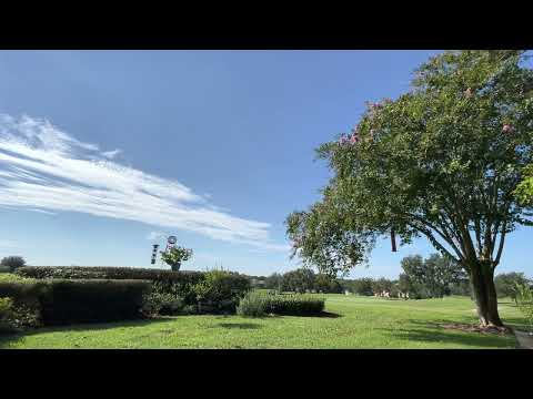 Day 233~ August 21~ Job 1:1-3:26, 1 Corinthians 14:1-17, Psalm 37:12-29, Proverbs 21:25-26