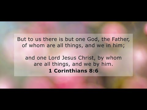 May 24, 2020 - Sunday Bible class - 1 Corinthians 8: 4-7 - Steve Clevenger