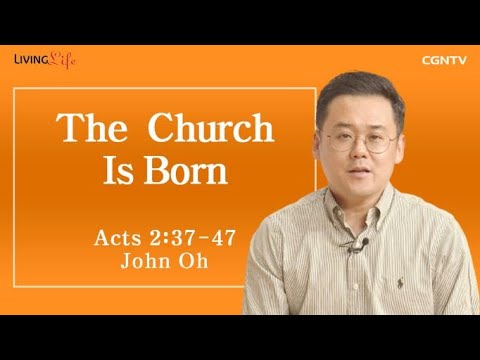 The Church Is Born (Acts 2:37-47) - Living Life 06/23/2023 Daily Devotional Bible Study