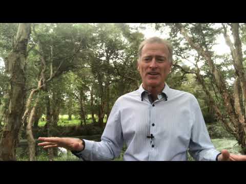 Sermon 14 November - Mark 13:1-11 - when will the temple fall?