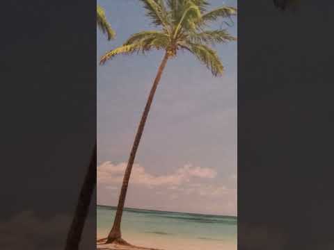 the census Israel's warriors numbers 1:1-46 amp