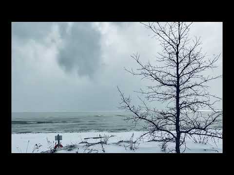 Coffee Break (5 Minutes with God) Psalm 72:17-73:1