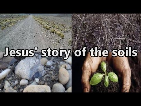 The Story of the Soils- (part 1) - Luke 8:4-18(1-2-22)