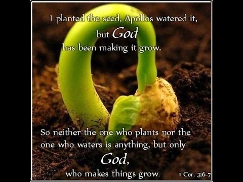 Sermon - 1 Corinthians 3:6-7 - Live Unleashed