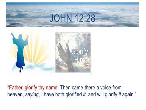 John 12:28 - Prophetic Word