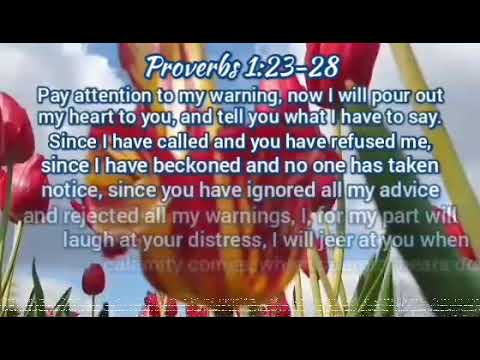 The Holy Bible - Proverbs 1:23-28