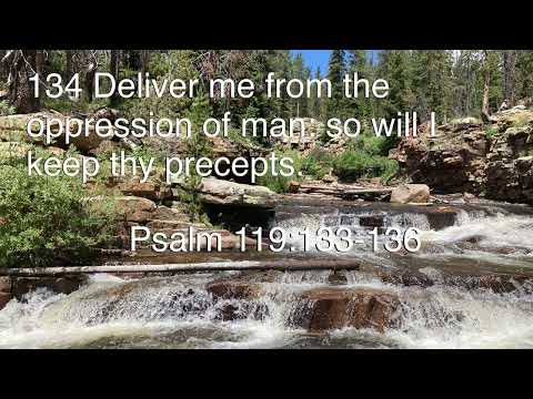 Come Follow Me; Aug 22-28; Scripture Song Psalm 119:133-136