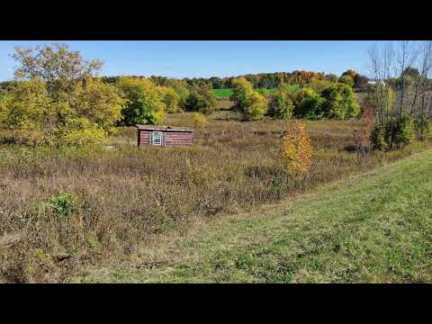 Coffee Break   (5 Minutes with God) Psalm 140:10-12