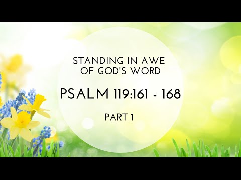 Standing in Awe of God's Word - Part 1 - Psalm 119:161-168
