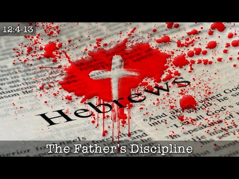 The Father's Discipline | Hebrews 12: 4-13 (Daniel Palmer)