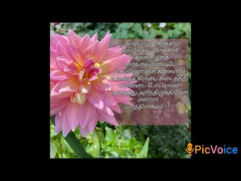 Word For Today - By Bro AC. Raja [ Exodus 33:17]