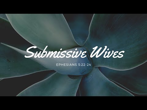 Submissive Wives - Ephesians 5:22-24