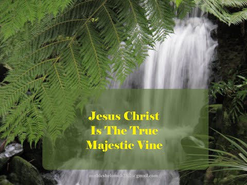 Jesus Christ Is The True Majestic Vine in Ezekiel 17:8 & John 15:5 #JesusChristIsTheTrueMajesticVine