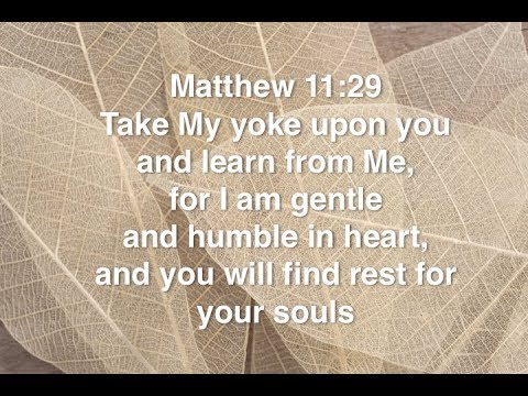 Matthew 11:29 (Command)
