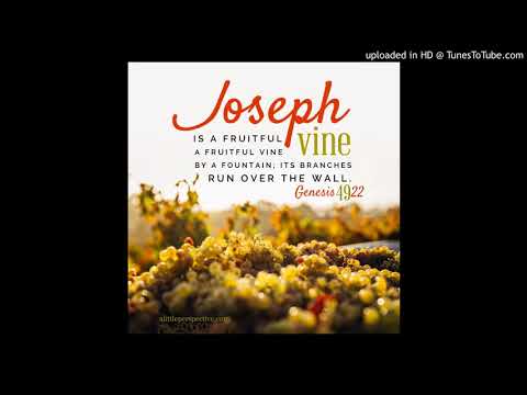 Sermon on Genesis 49:22