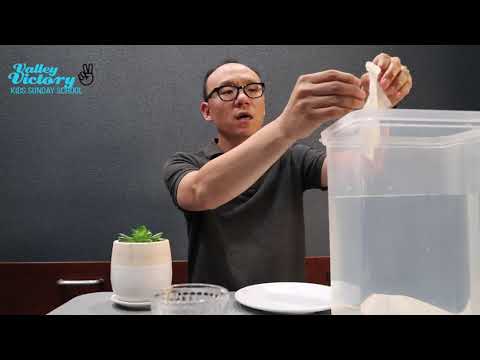 VVK Sermon: "God Protects Us" - 2 Thess 3:3 (11/14/21)