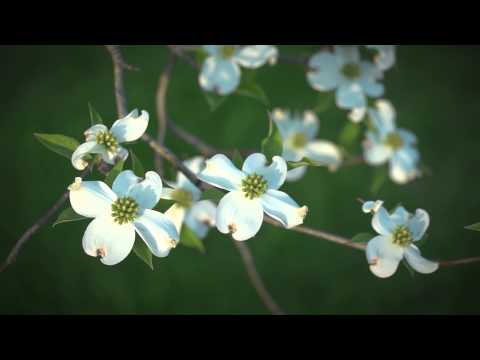 FLBC Daily Devotion Proverbs 3:24