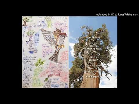 Leviticus 14:6 - He shall take the living bird and the cedar wood and the scarlet and the hyssop, an