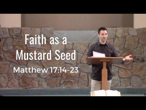Faith as a Mustard Seed (Matthew 17:14-21)