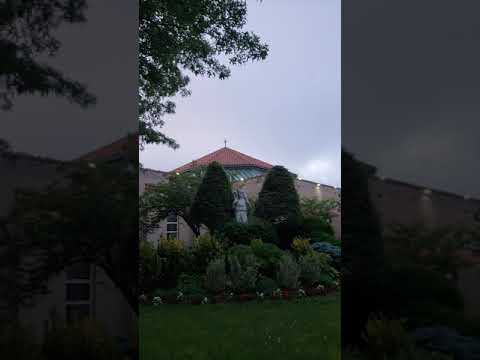 The one the LORD loves rests between his shoulders. (Deuteronomy 33:12)