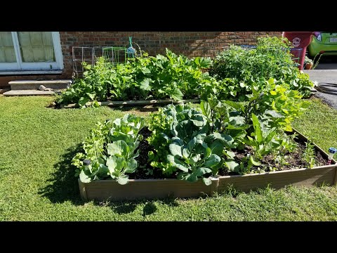 Morning prayer requests/devotions at the Garden of Hope! Scripture of the day: Ezekiel 18:25-32 ????????