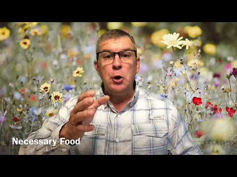 Jesus and government - Genesis 9:5-6