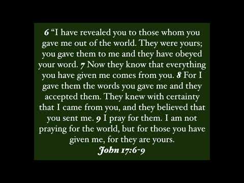 John 17:6-9