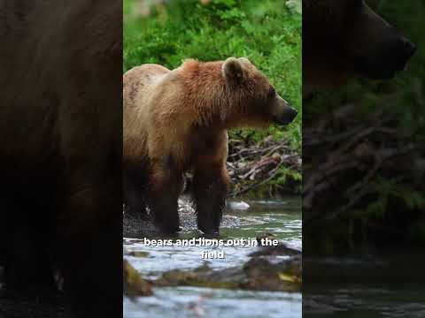 We Don't Just Go Through, We Grow