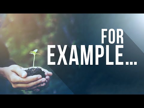 For Example... (Philippians 2:19-20)