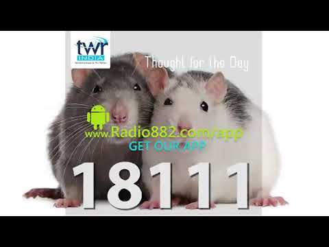 1Timothy 6:17-19 Proverbs 23:4,5 Ecclesiastes 5:10-20 1Timothy 6:9-12 Mark 8:36,37