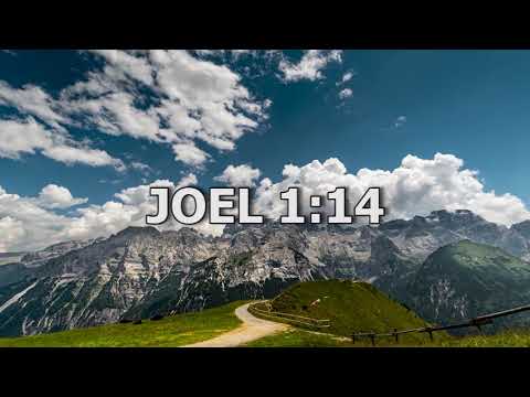 Joel 1:14