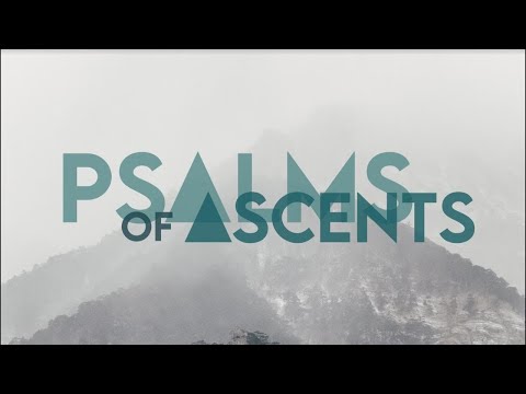 How to Pray for Christmas / Psalm 132:1-18 / 12/20/20