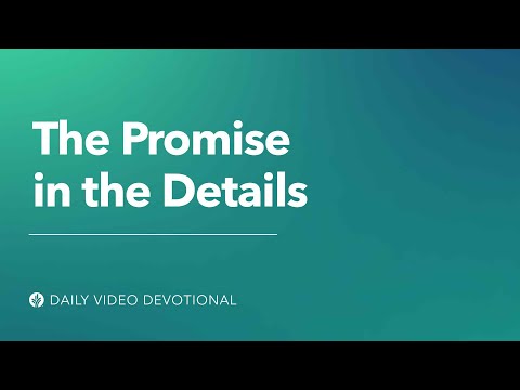The Promise in the Details | Our Daily Bread Video Devotional