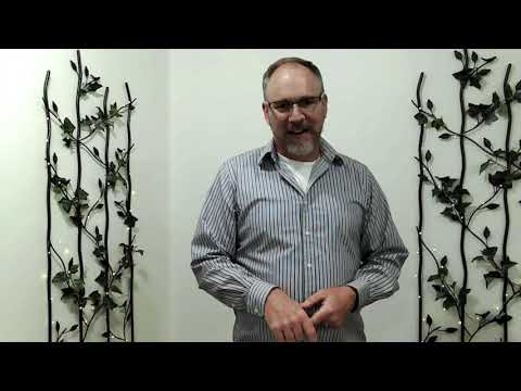 Proverbs 9:13-18 The Invitation from Lady Folly