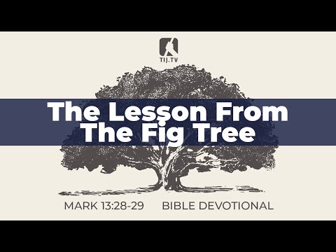 126. The Lesson from the Fig Tree – Mark 13:28-29