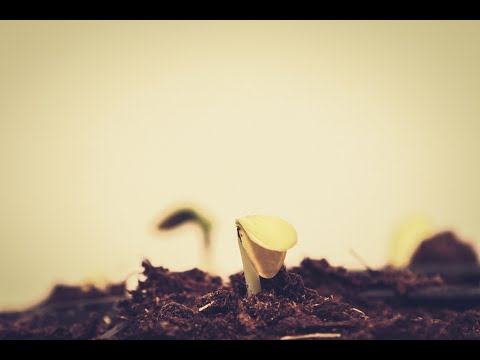 Joshua 9:1-10:43 - Growing Pains