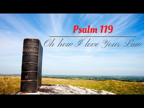 9/15/2022  Psalm 119:21-24